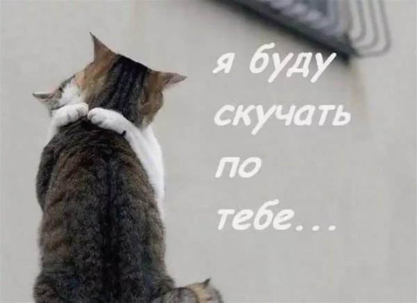 Буду скучать по тебе