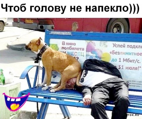 Мемы про гопников