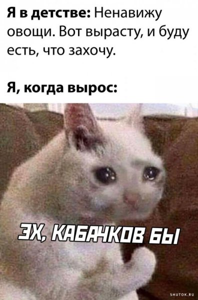 Смешные мемы