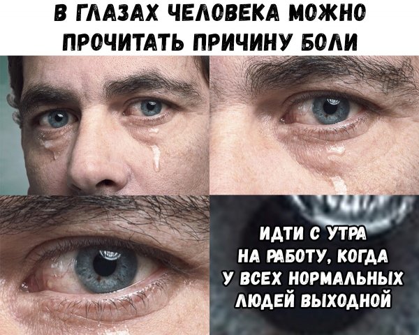Мемы с надписями смешные новинки