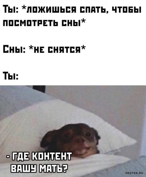 Прикольные картинки приколы
