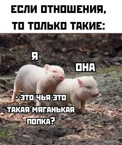 Смешные картинки мемы