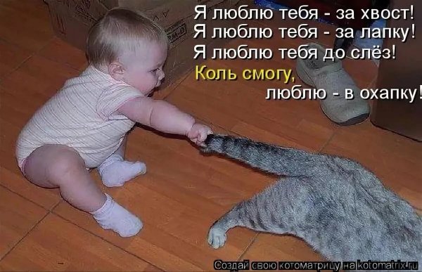 Стихи смешные до слез