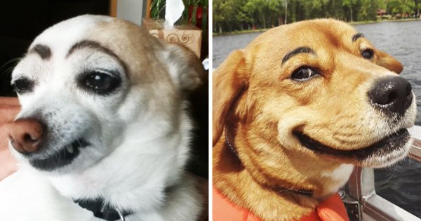 Обезьяна Мем