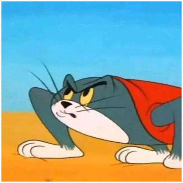 Том и Джерри сплющенный том