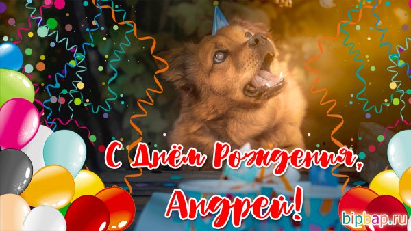 Андрей с днём рождения обои