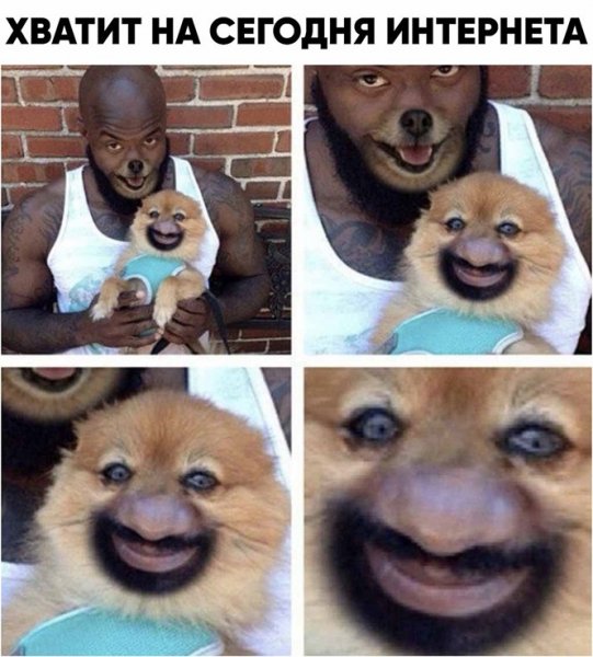 Упоротые мемы