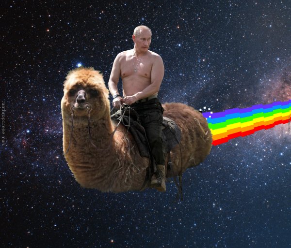Путин на медведе в космосе