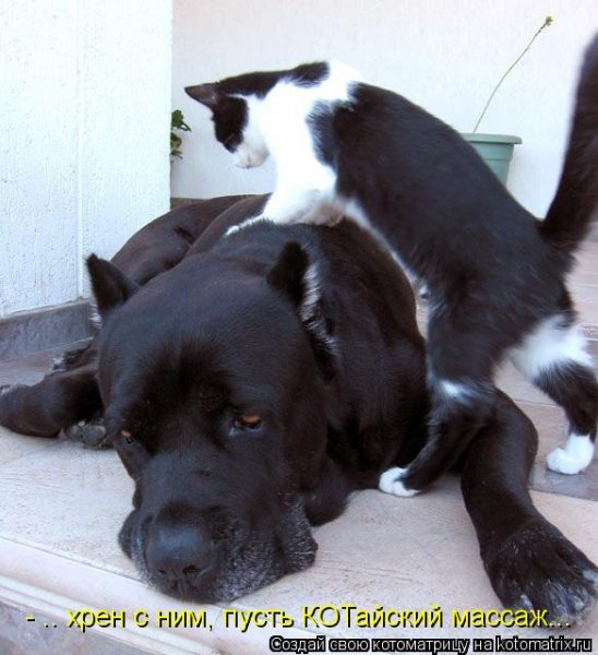 Мы с Тамарой ходим парой