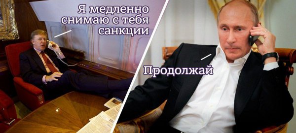 Путин и Трамп приколы