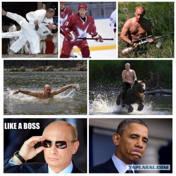 Фотоприколы про Путина