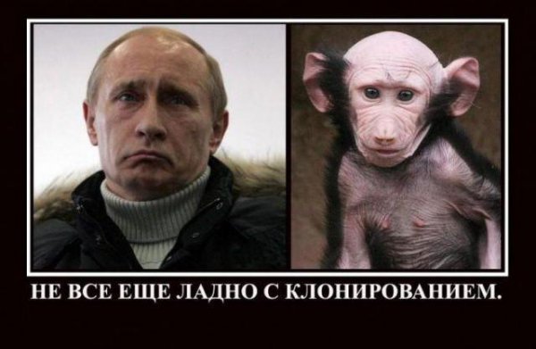 Мемы про Путина и Медведева