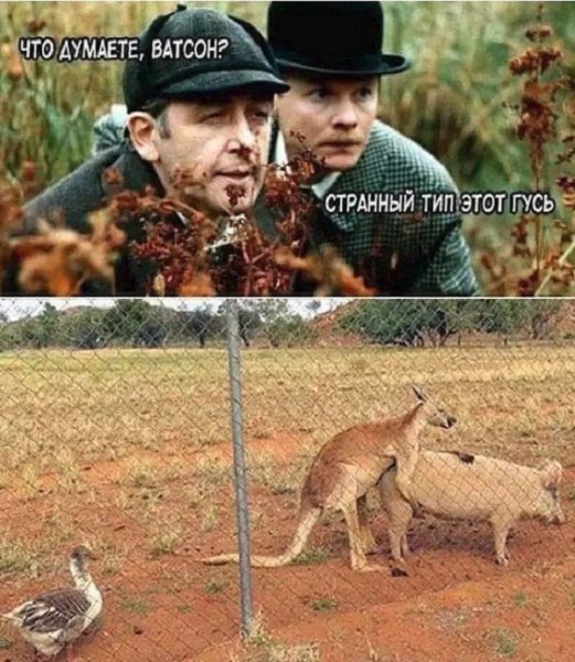 Мемы про Россию