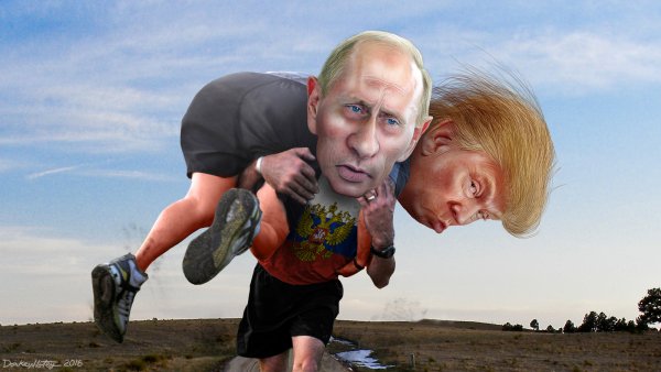 Приколы картинки ржачные