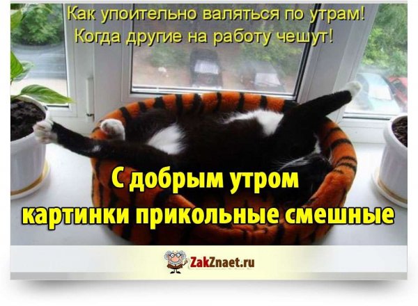Валяться по утрам