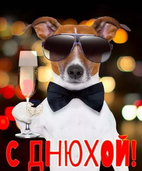 С днём рождения мужчине