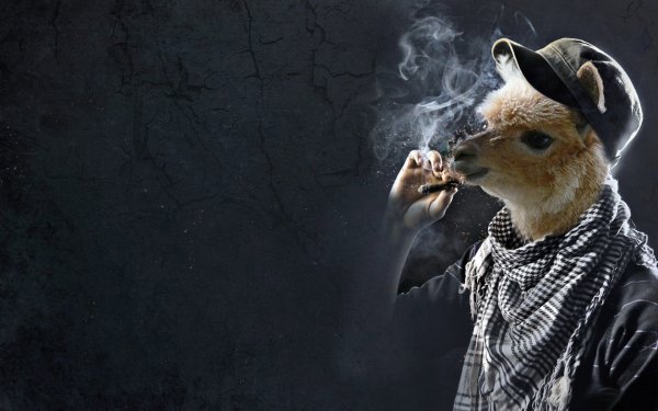 Животное с сигаретой