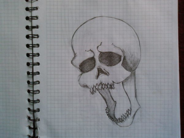 Прикольные рисунки в тетради в клетку