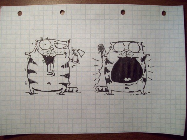 Объемные фигуры по клеточкам