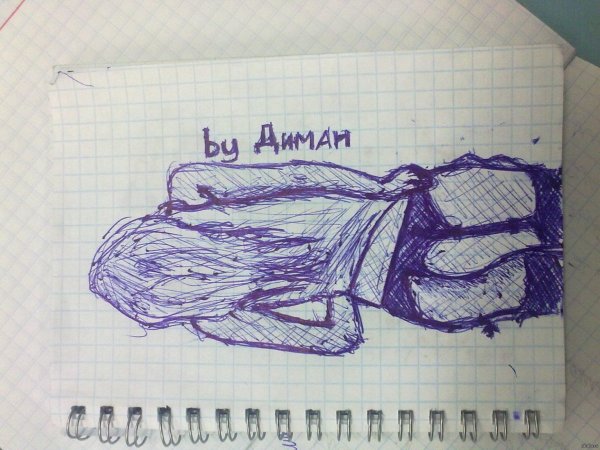 Рисунки по клеточкам в тетради ручкой синей