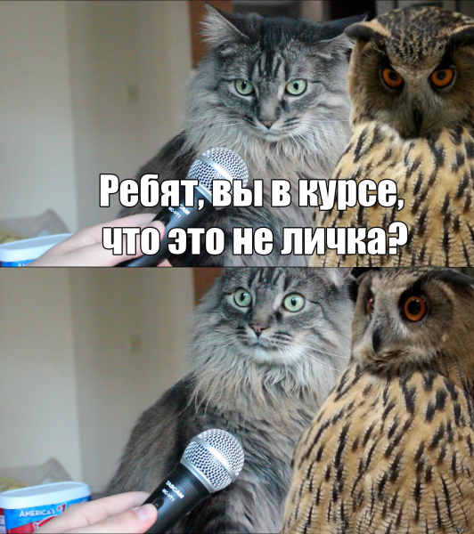 Пикчи с котами и надписями
