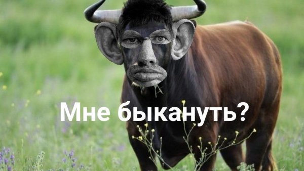Глад ВАЛАКАС бык