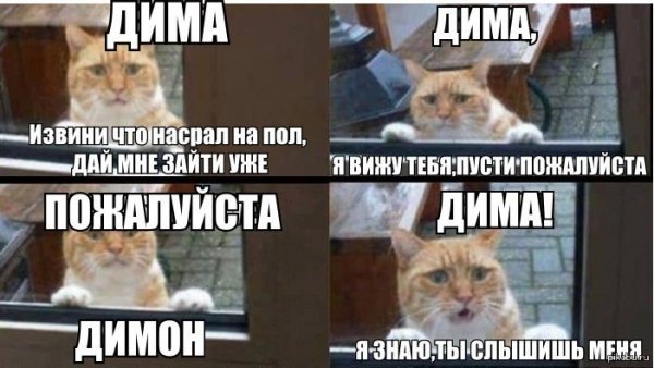 Шутки про Диму