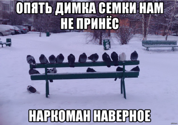 Дима мемы смешные