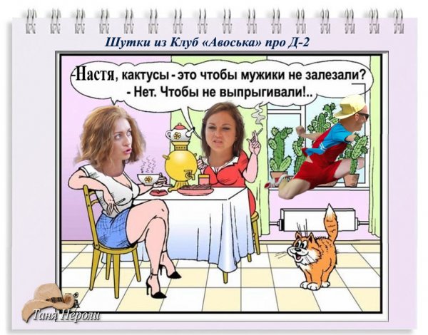 Анекдоты про Настю