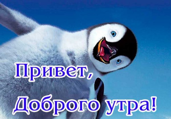 Привет с добрым утром