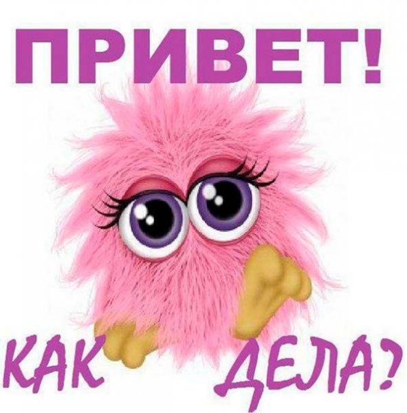 Открытки привет