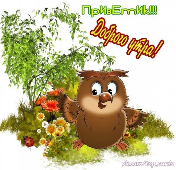 Открытки привет с добрым утром