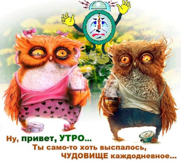 Прикольные утренние приветствия