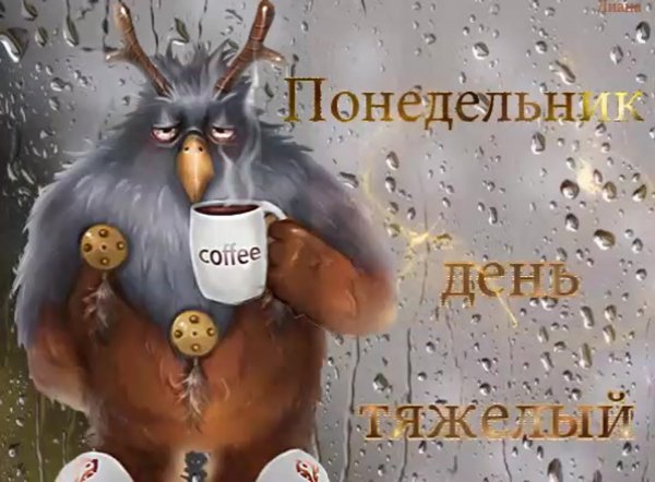 Понедельник доброе утро смешные