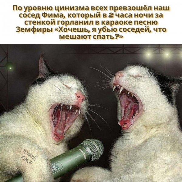 Приколы ржака