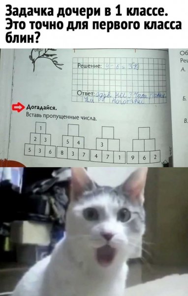 Картинки смешные до слез