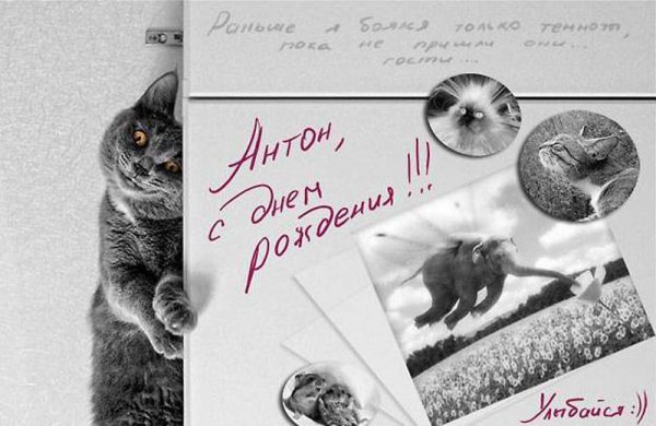 Поздравления с днём рождения Антону