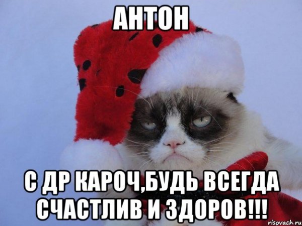 С др кароч