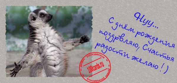 Лемур поздравляет с днем рождения