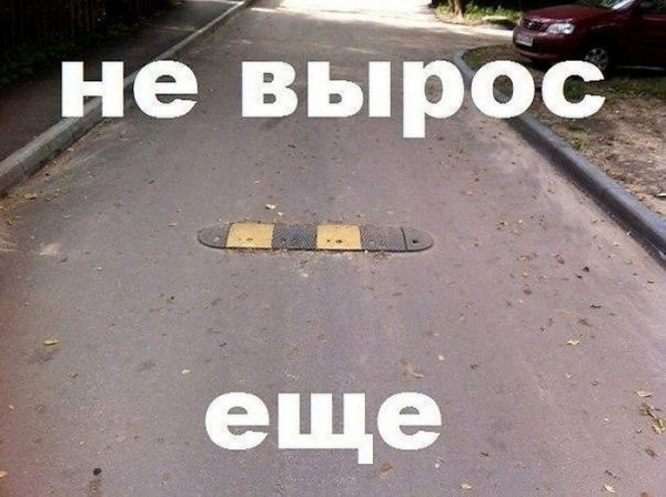 Надписи смешные до слез