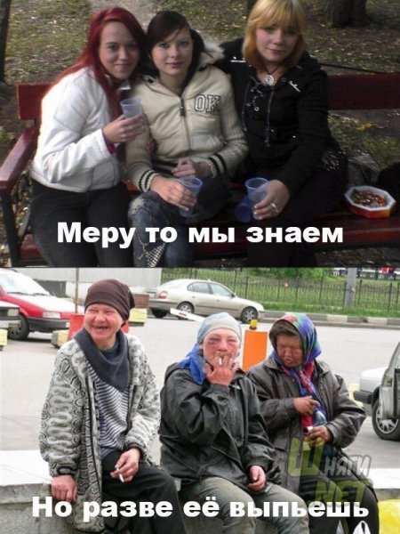 Приколы до слез с надписями