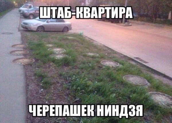 Смешные картинки с надписями до слёз про людей