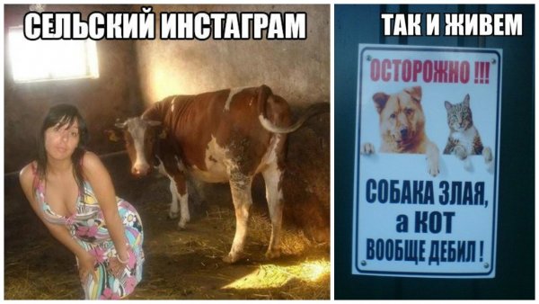 Ржач до слез с надписями