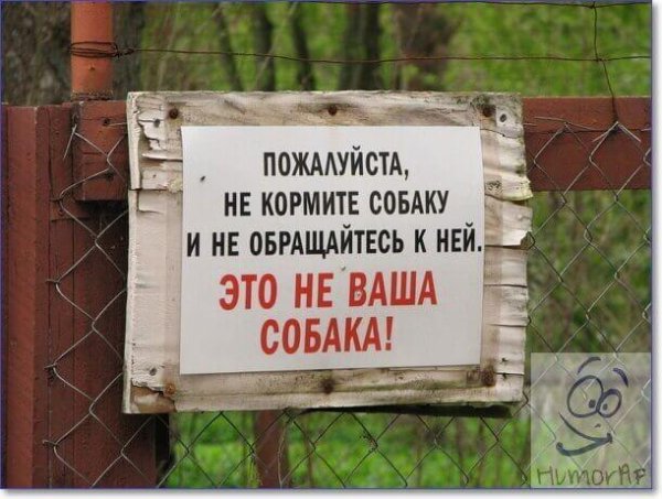 Угар приколы с надписями