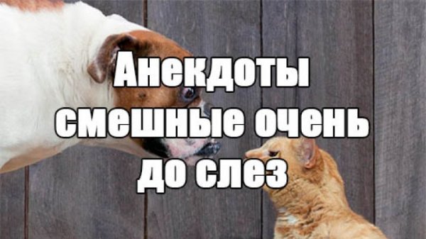 Открытки приколы смешные до слез