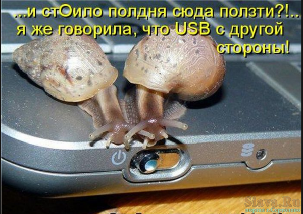 Картинки смешные до слез