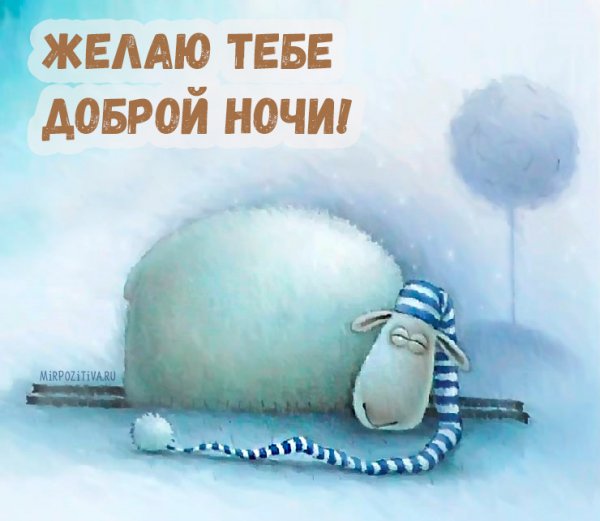 Смешные пожелания спокойной ночи