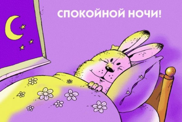 Смешные пожелания спокойной ночи
