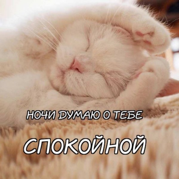Сладких снов смешно