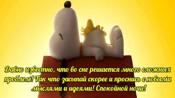 Прикольное пожелание спокойной ночи мужчине с юмором